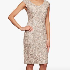 Short V-Neck Corded Lace Sheath Dress with Cap Sleeves cocktail dress size 10